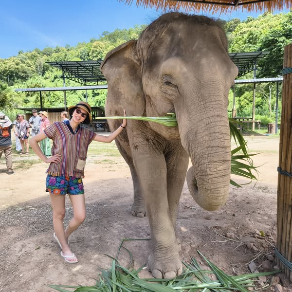 How elephants reminded me of the beauty of nature