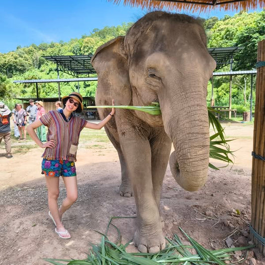 How elephants reminded me of the beauty of nature