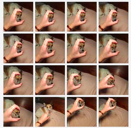 You Are More Beautiful Than You Think, Start Writing It Down