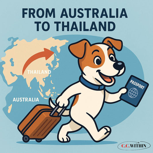 My first trip to thailand with purpose and curiosity