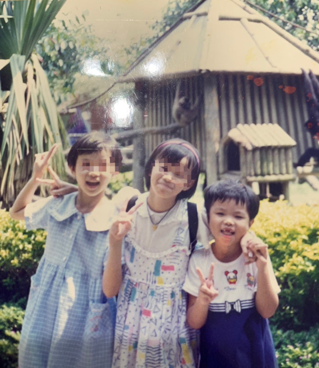 What is the meaning of life?